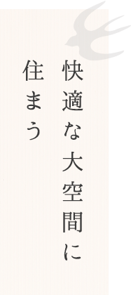 fv_text