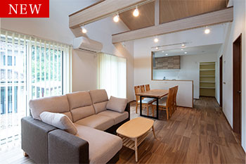 大空間　ＬＤＫに12.5帖の勾配吹抜けがある平屋